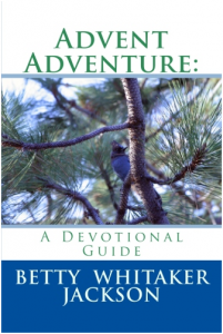 advent-adventure-devotional-guide